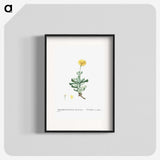 2-9_Histoire-des-Plantes-Grasses_blk