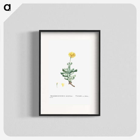 2-9_Histoire-des-Plantes-Grasses_blk