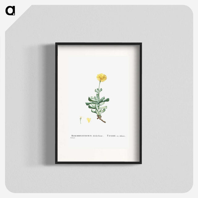 2-9_Histoire-des-Plantes-Grasses_blk