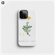 2-9_Histoire-des-Plantes-Grasses_phone