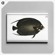 2-9_Ichtyologie-ou-Histoire-naturelle_canvas