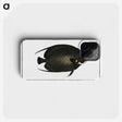 2-9_Ichtyologie-ou-Histoire-naturelle_phone