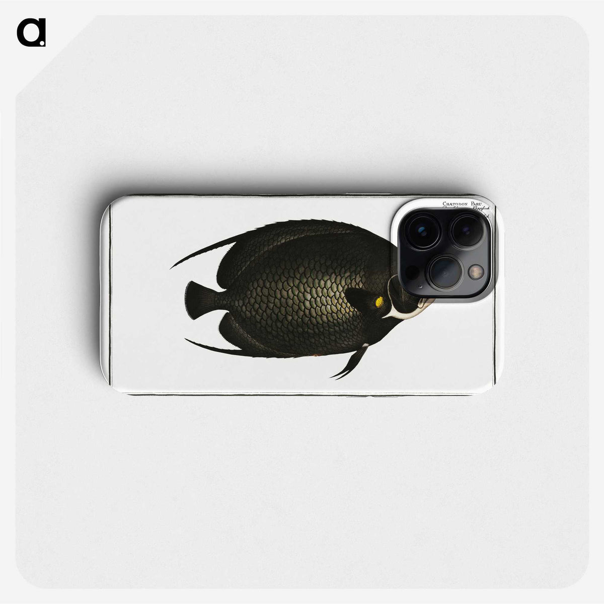 2-9_Ichtyologie-ou-Histoire-naturelle_phone