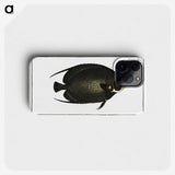 2-9_Ichtyologie-ou-Histoire-naturelle_phone