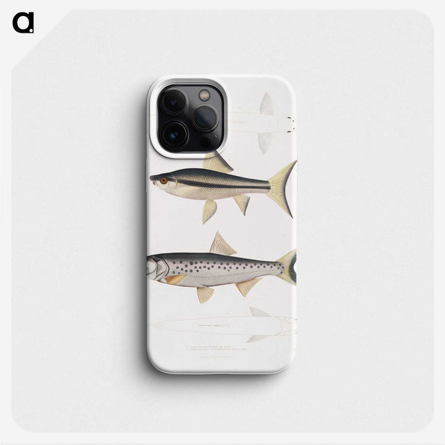 2-9_Indian-Zoology_phone