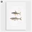 2-9_Indian-Zoology_picture