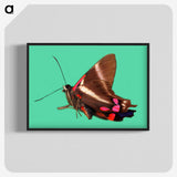 2-9_Insects-Unlocked-Project_blk-crop