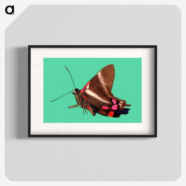 2-9_Insects-Unlocked-Project_blk