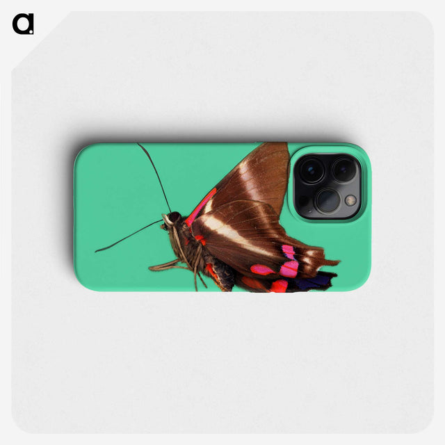 2-9_Insects-Unlocked-Project_phone