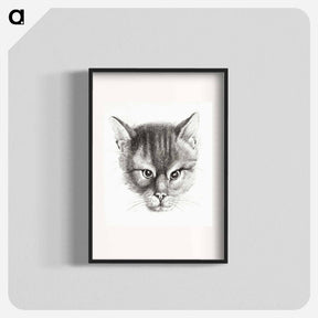 アートポスター-Sketch of a cat - ジャン ベルナール Poster.