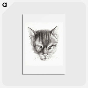 アートポストカード-Sketch of a cat - ジャン ベルナール Postcard.