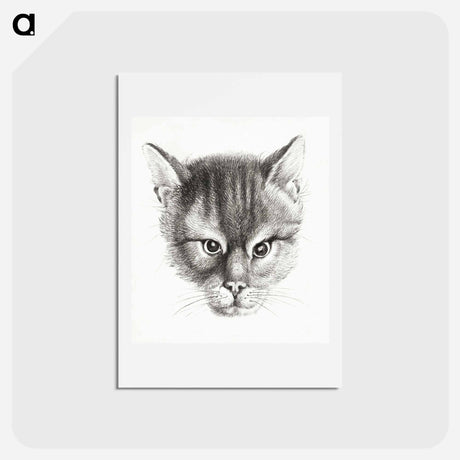 アートポストカード-Sketch of a cat - ジャン ベルナール Postcard.