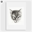 2-9_Jean-Bernard_picture