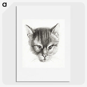 2-9_Jean-Bernard_picture