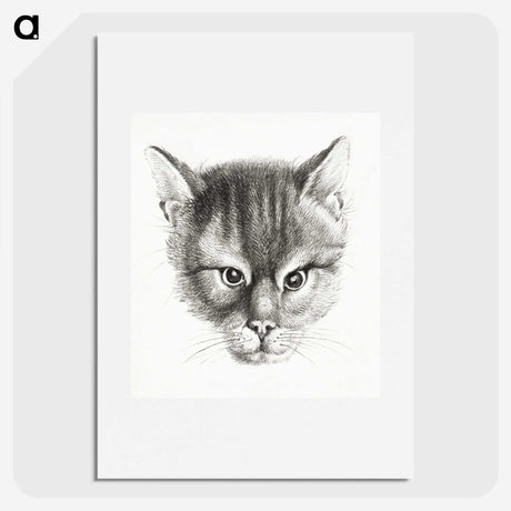 2-9_Jean-Bernard_picture