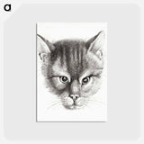 アートポストカード-Sketch of a cat - ジャン ベルナール Postcard.