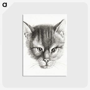 2-9_Jean-Bernard_postcard