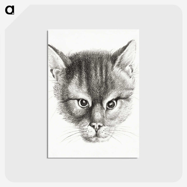 2-9_Jean-Bernard_postcard