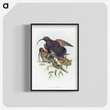 2-9_John-Gould_blk-crop