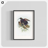 2-9_John-Gould_blk
