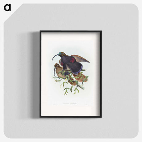 2-9_John-Gould_blk