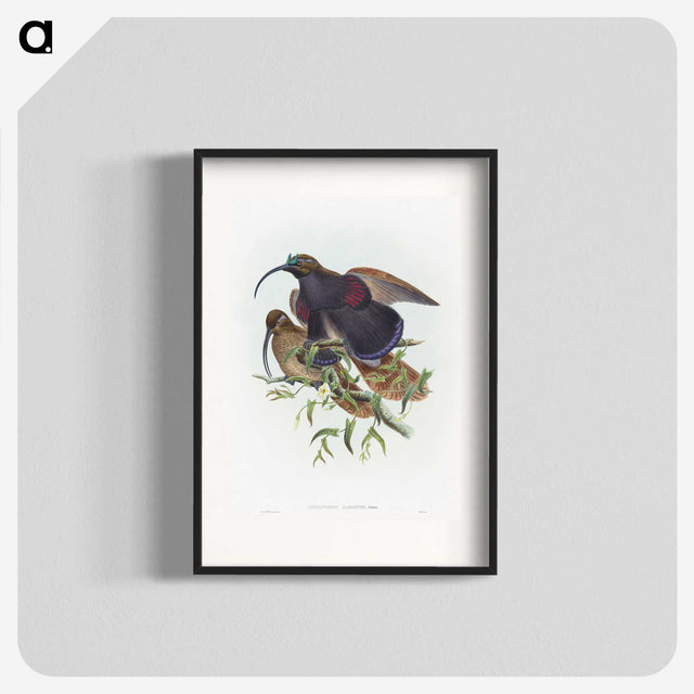 2-9_John-Gould_blk
