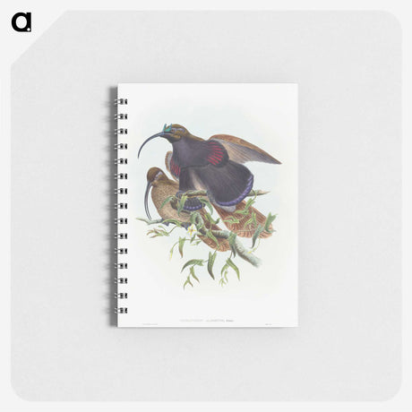 2-9_John-Gould_memo