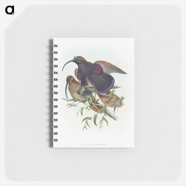 2-9_John-Gould_memo