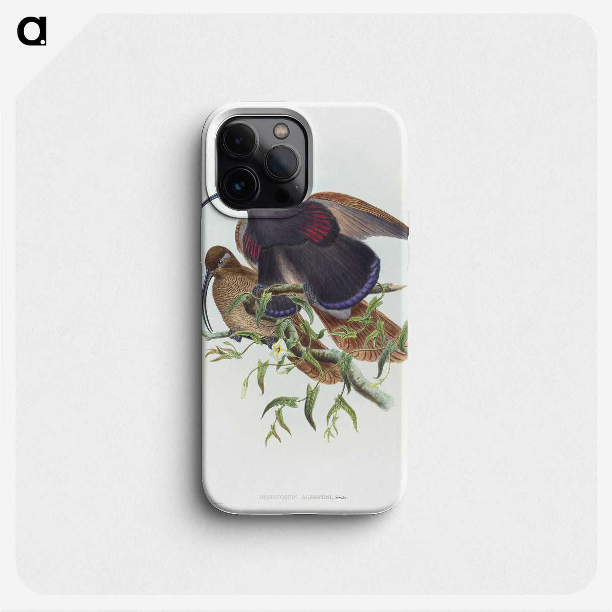 2-9_John-Gould_phone