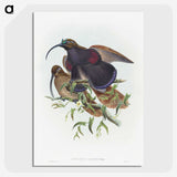 2-9_John-Gould_picture-crop