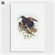 2-9_John-Gould_picture