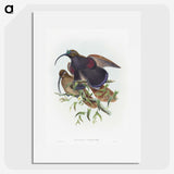 2-9_John-Gould_picture