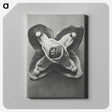 2-9_Karl-Blossfeldt_canvas