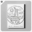 2-9_Les-Palmiers-Histoire-Iconographique_canvas