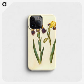2-9_Maria-Sibylla-Merian_phone
