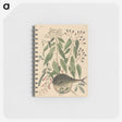 2-9_Mark-Catesby_memo