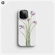 2-9_Mary-Vaux-Walcott_phone