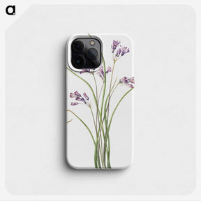 2-9_Mary-Vaux-Walcott_phone
