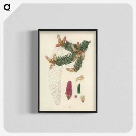 2-9_Medical-Botany_blk-crop