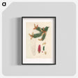 アートポスター-Norway Spruce Illustration
 - 薬用植物学 Poster.