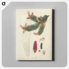 2-9_Medical-Botany_canvas