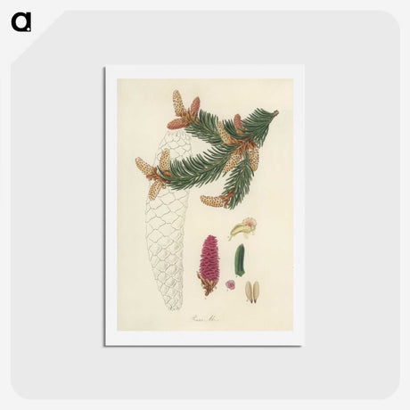 2-9_Medical-Botany_hagaki