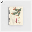 アートメモ帳-Norway Spruce Illustration
 - 薬用植物学 Memo.