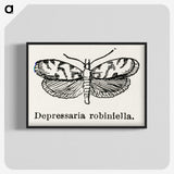 2-9_Moths-and-Butterflies-of-the-United-States_blk-crop