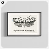 2-9_Moths-and-Butterflies-of-the-United-States_blk
