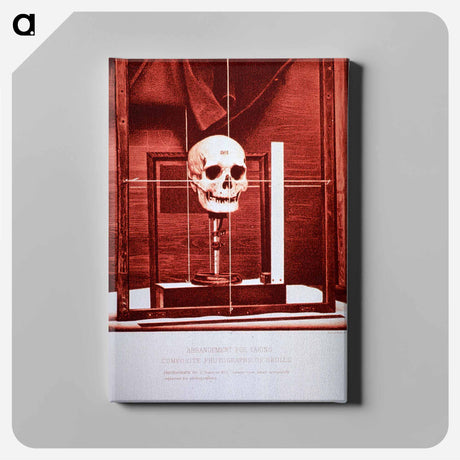 アートパネル-Arrangement for Taking Composite Photographs of Skulls: Photograph No. 2
 - 国立医学図書館 Canvas.