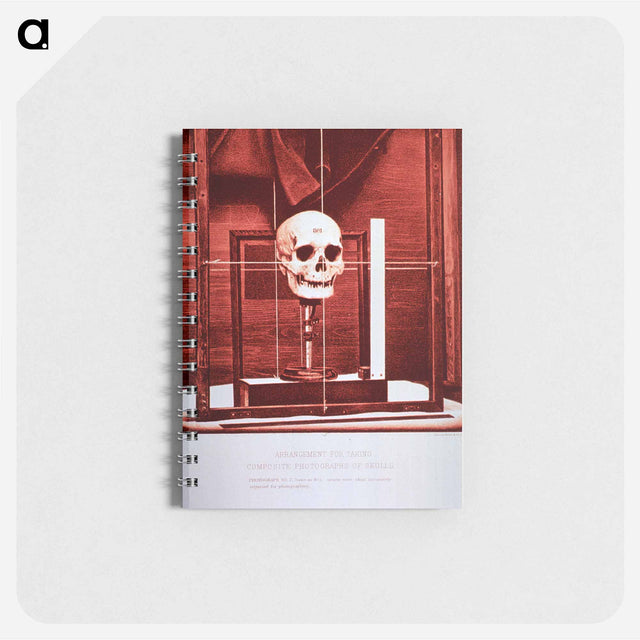 アートメモ帳-Arrangement for Taking Composite Photographs of Skulls: Photograph No. 2
 - 国立医学図書館 Memo.