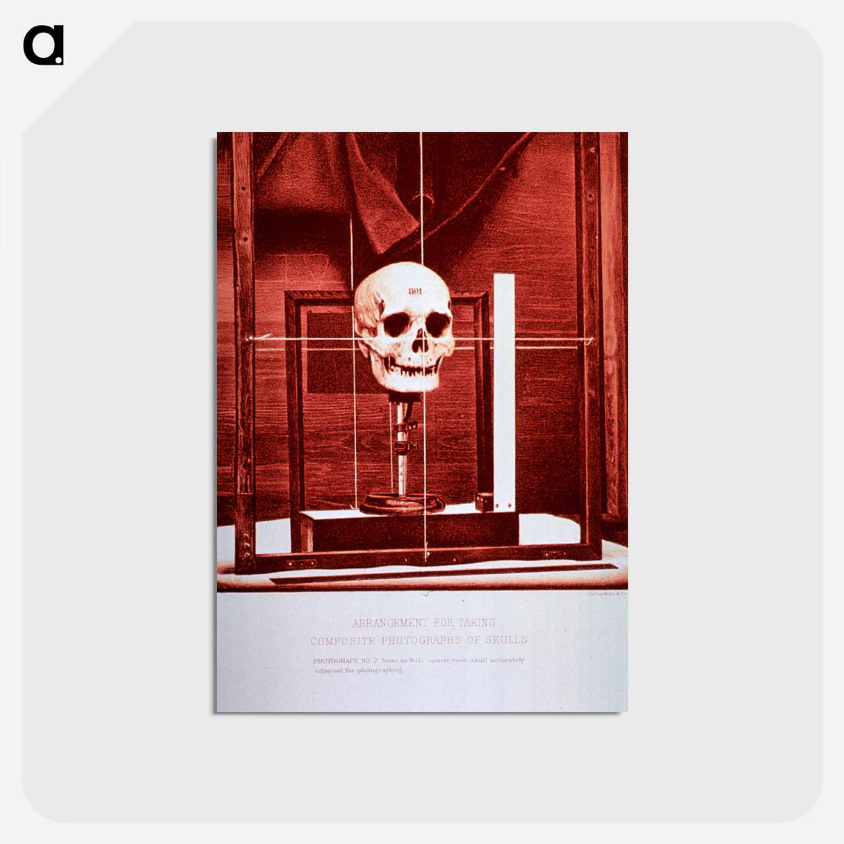 アートポストカード-Arrangement for Taking Composite Photographs of Skulls: Photograph No. 2
 - 国立医学図書館 Postcard.