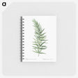 2-9_Pierre-Joseph-Redoute_memo