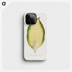 2-9_Plants-with-Colored-Foliage_phone
